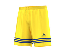 Adidas Short Entrada 12 Sho  (yelow/royal)