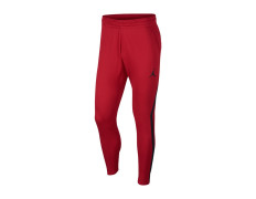 Jordan Dry 23 Alpha Training Pants