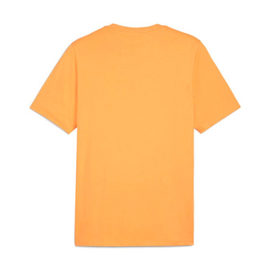 Puma GRAPHICS Mountain "Clementine" T-shirt