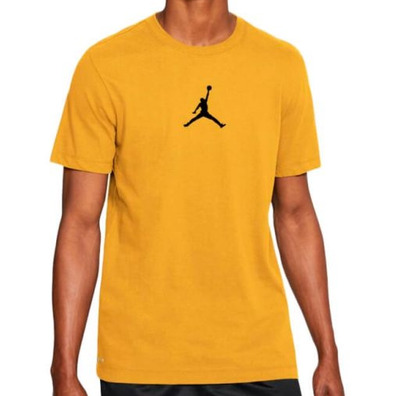 Jordan Jumpman DF SS Crew T-Shirt