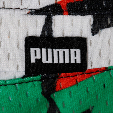 Puma Graffiti Basketball Shorts "Multi Print"