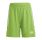 Adidas Junior Tiro 23 League Short  "Semi Sol Green"