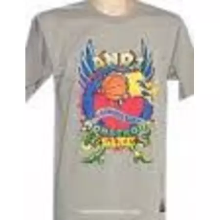 Camiseta And 1 Dublin  (gris)