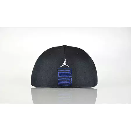 Air Jordan 11 Concord Fitted Hat