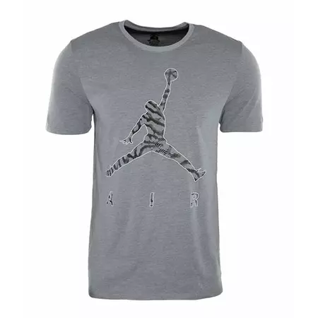 Men's T-Shirt Jordan Jumpman Air Burnout (013/wolf grey/black)