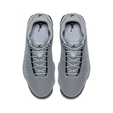 Jordan Horizon Low "Big Bad" (003/wolf grey/black/dark grey)