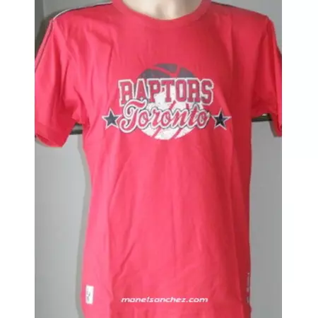 Champion Raptors Tee