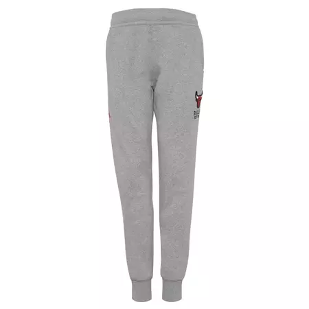Adidas Pantalón NBA Washed Chicago Bulls (gris)