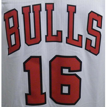 Chicago Bulls Swingman Gasol Jersey