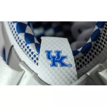 Lebron Soldier IX Premium "Kentucky" (104/white/silver/gym royal)