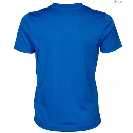 Reebok Camiseta Menino Zig Logo (azul)