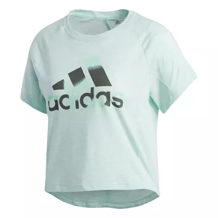 Adidas Boxy Badge Of Sport Tee