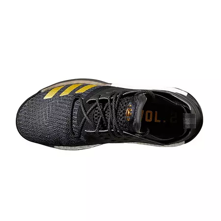 Adidas Harden Vol. 2 "Imma Be A Star"