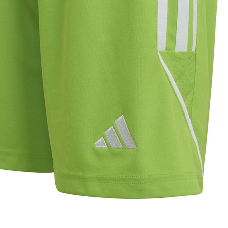 Adidas Junior Tiro 23 League Short  "Semi Sol Green"