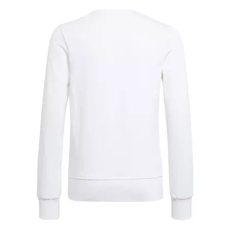 Adidas Kids Essentials Big Logo Sweatshirt