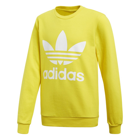 Adidas Originals Junior Trefoil Crew (Yellow)