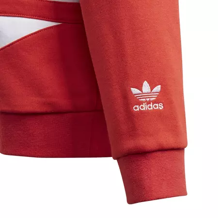 Adidas Originals Kids Big Trefoil Hoodie