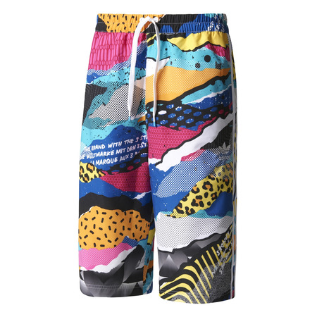 Adidas Originals L.A. Shorts Wove (multicolor)
