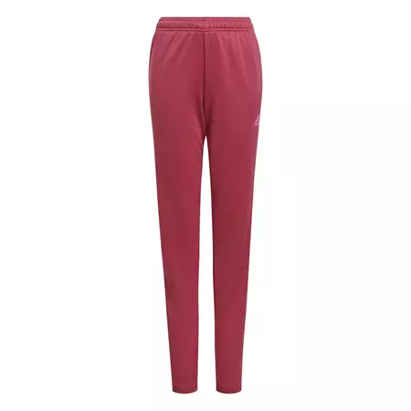 Adidas Tiro 21 Track Pants Woman