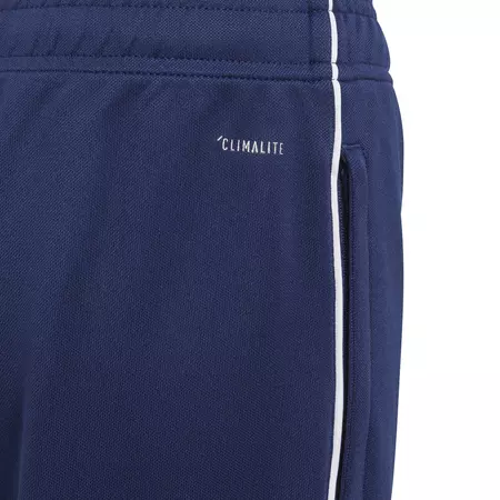 Adidas Young Core 18 Training Pants