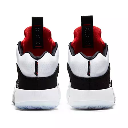 Air Jordan XXXV "DNA"