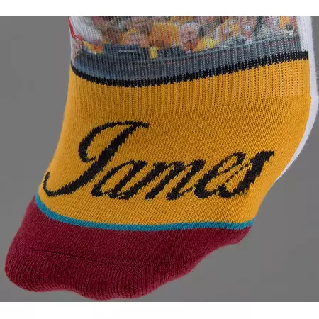 Stance King James Cleveland Cavaliers