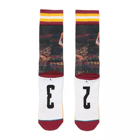 Stance King James Cleveland Cavaliers