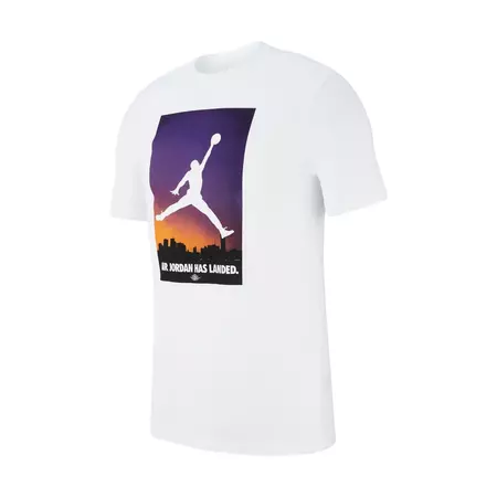 Air Jordan 23