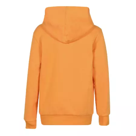 Champion Kids American Classic Flecce Hoodie "Yellow"