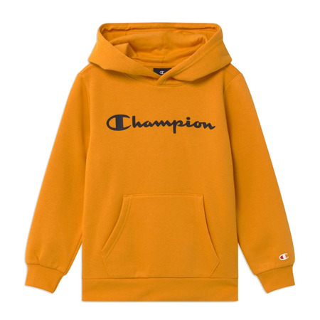 Champion Kids Authentic Classic Big Logo Hoodie (OS033)