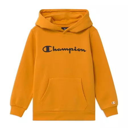 Champion Kids Authentic Classic Big Logo Hoodie (OS033)