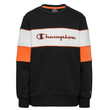 Champion Kids Classic Modular Blocking Color Crewneck Sweatshirt (KK001)