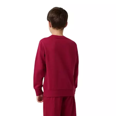 Champion Kids Graphic Crew Neck Sweatshirt "Red"