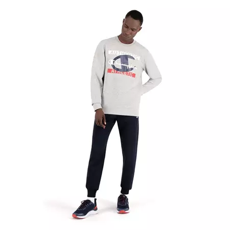 Champion Legacy New York Graphic Print Sweatshirt "Light Grey"