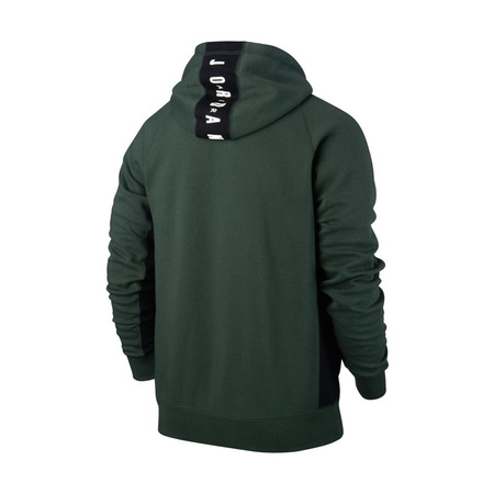 Jordan Seasonal Graphic Pullover Hoodie (327/grove green/black)