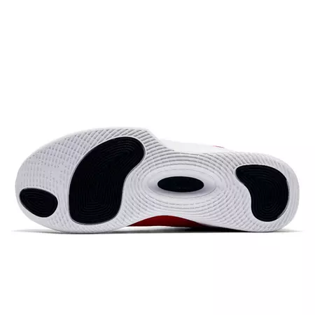 Jordan Ultra Fly 2 Low "Ledge"