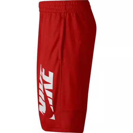 Nike Boys’ Training Shorts