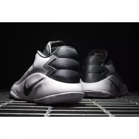 Nike Hyperdunk 2016 Low "Platinum" (011/pure platinum/cool grey/white)