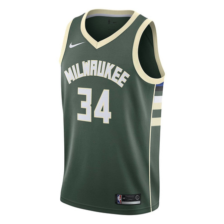 Nike NBA Swingman Milwaukee Bucks Giannis Antetokoumpo #34