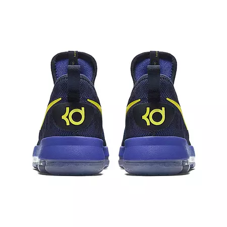 Nike Zoom KD 9 GS "Roar From The Floor"
