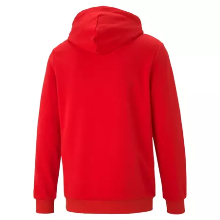 Puma ESS Big Logo Hoodie TR