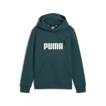 Puma Junior ESS+ 2 Col Big Logo Hoodie FL B "Cold Green"