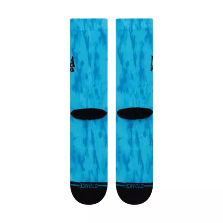 Stance Nirvana Nevermind Socks