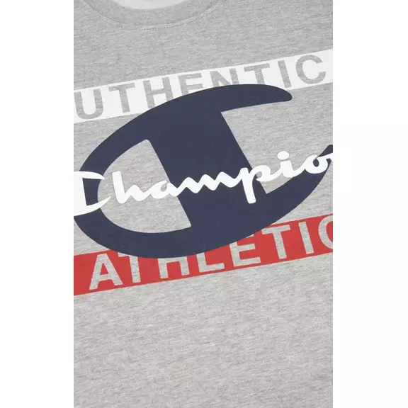 Champion Legacy New York Graphic Print Sweatshirt "Light Grey"