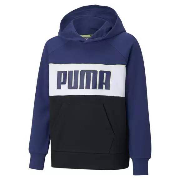 Puma Junior Alpha Hoodie TR