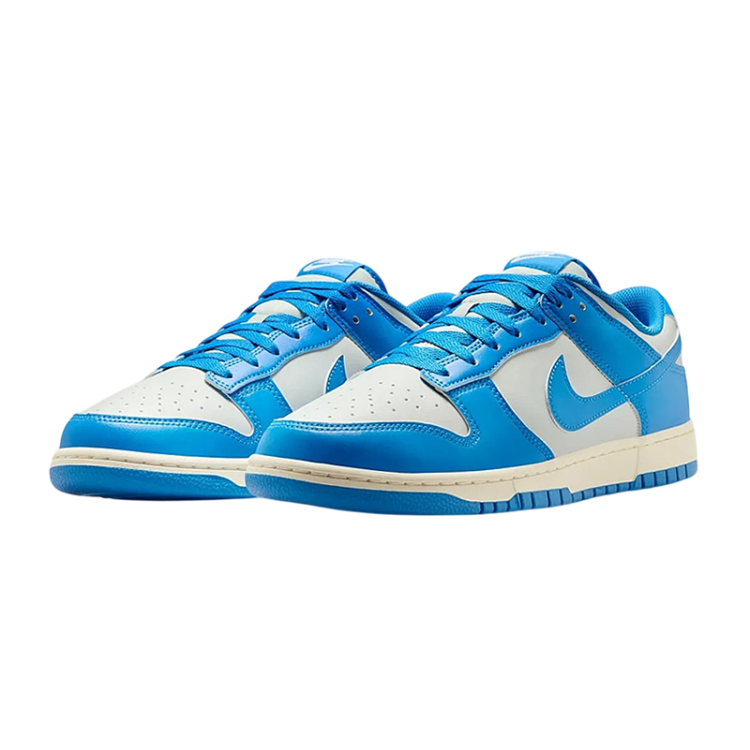 Nike Dunk Low Detroit Lions