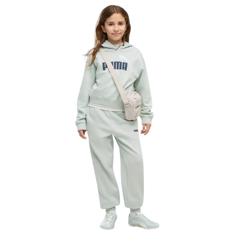 Puma ESS 2 COLOR Small No. 1 Logo Sweatpants FL G "Créme De Mint"