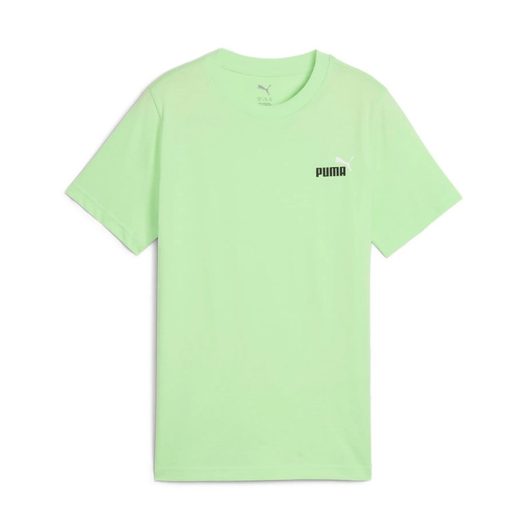 Puma ESS 2 COLOR Small No. 1 Logo Tee B "Spring Fern"