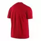 Lebron The Witness Pride Tee (611/red)
