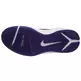 Nike Zoom Attero (103/white/royal/black)